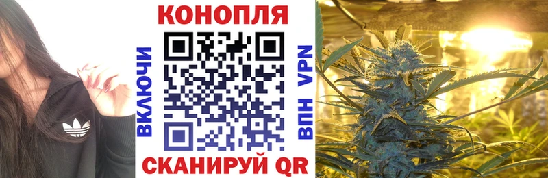 Шишки марихуана VHQ  Цимлянск 